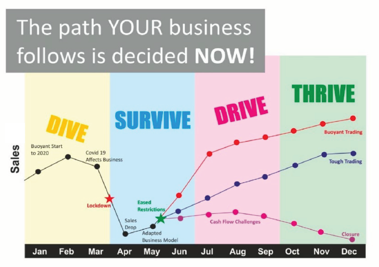Business Path Chart